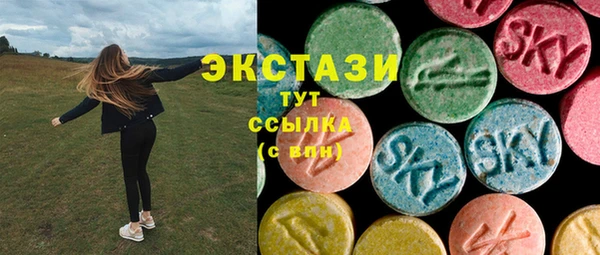 СК Вяземский