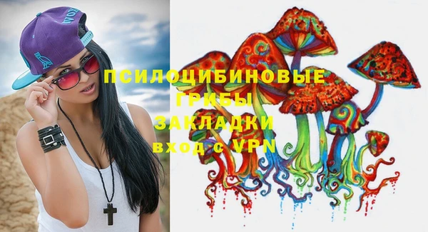 СК Вяземский