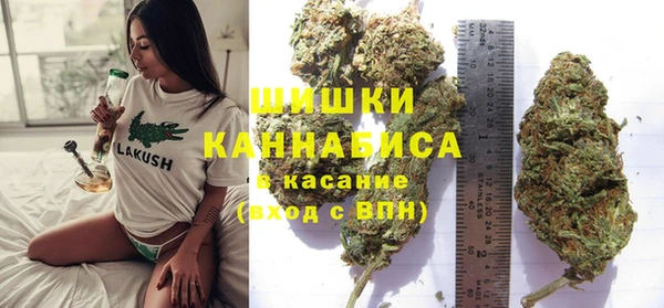 СК Вяземский