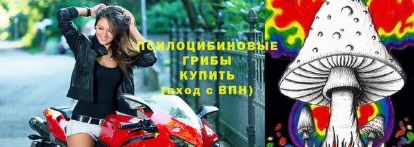 СК Вяземский