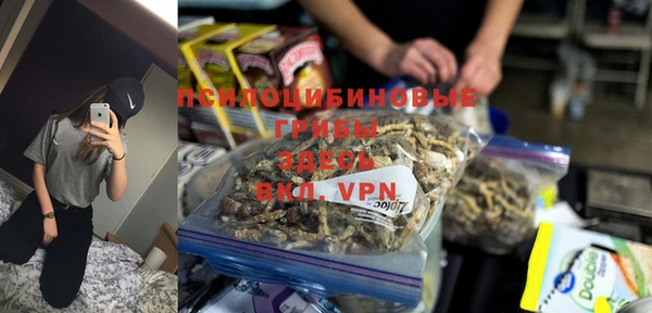 СК Вяземский