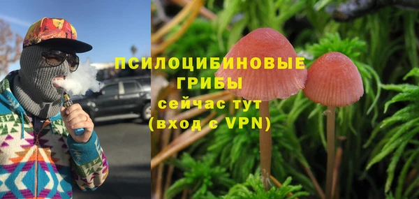 соль ск Вязники
