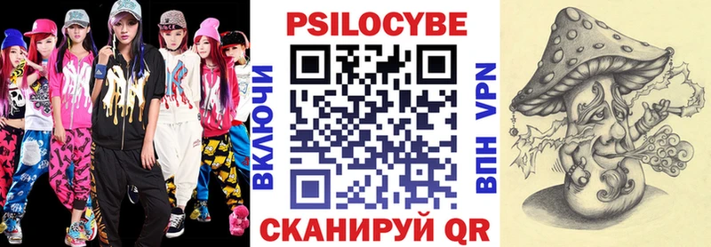 Псилоцибиновые грибы GOLDEN TEACHER  купить закладку  Далматово 